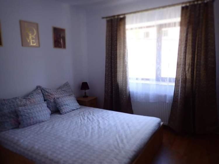 Casa D'ana * Geoagiu Bai