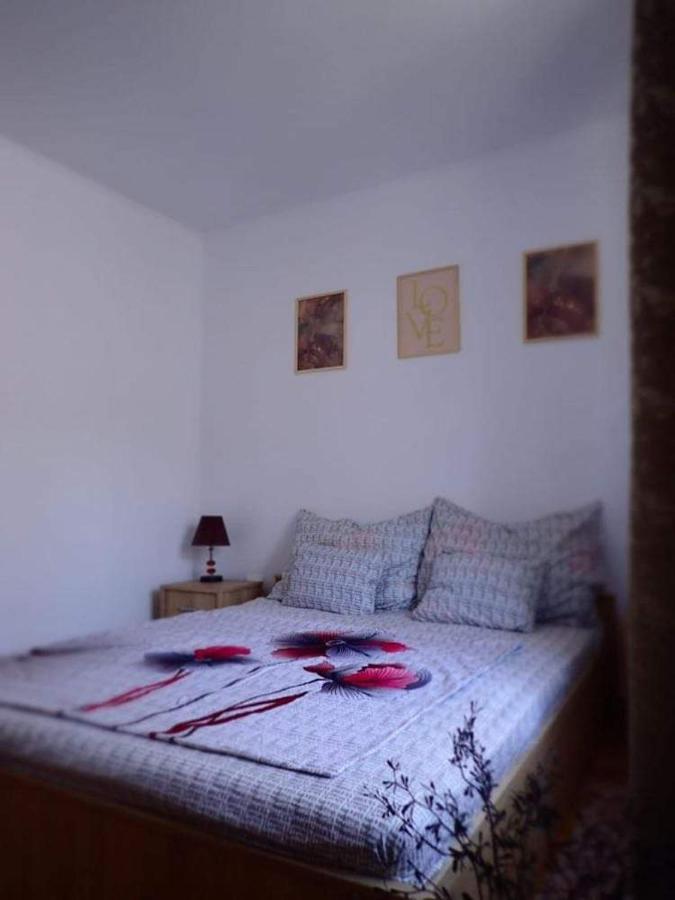 Homestay Casa D'ana *