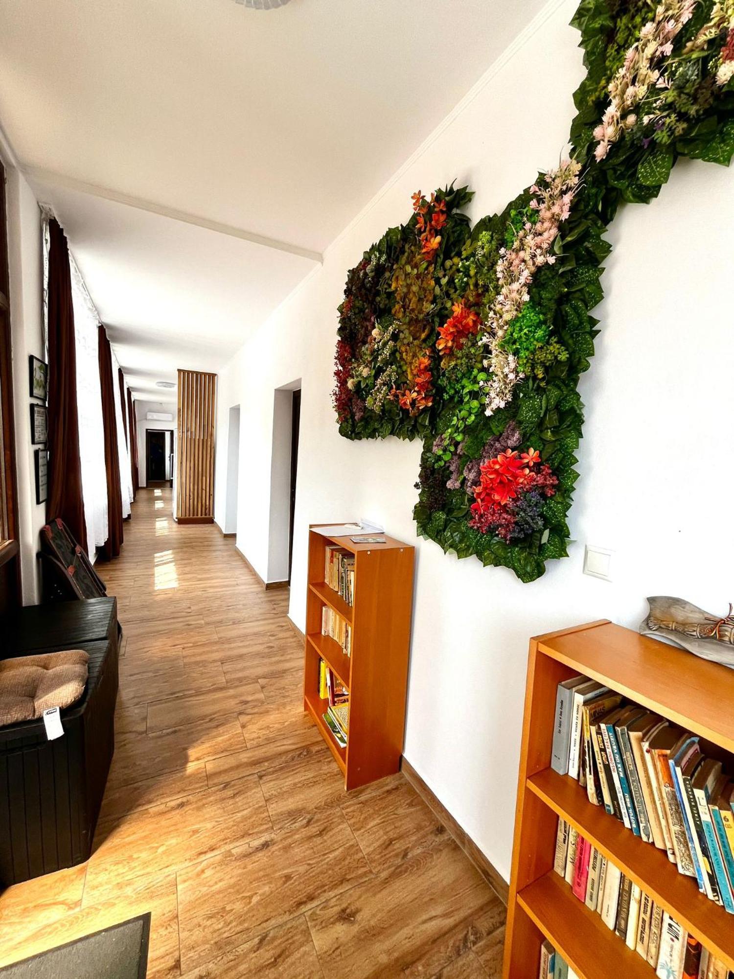 Casa D'ana *